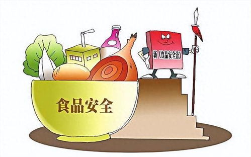 攤主因13元收入被罰3萬(wàn)元引爭(zhēng)議，法院判決揭示市場(chǎng)治理與法律公正